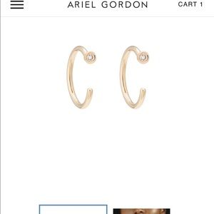 FLASH SALE!!!  Ariel Gordon Diamond Dust Hoops